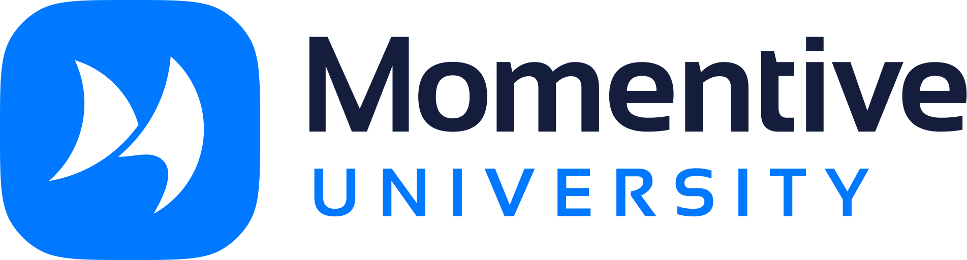 Momentive University